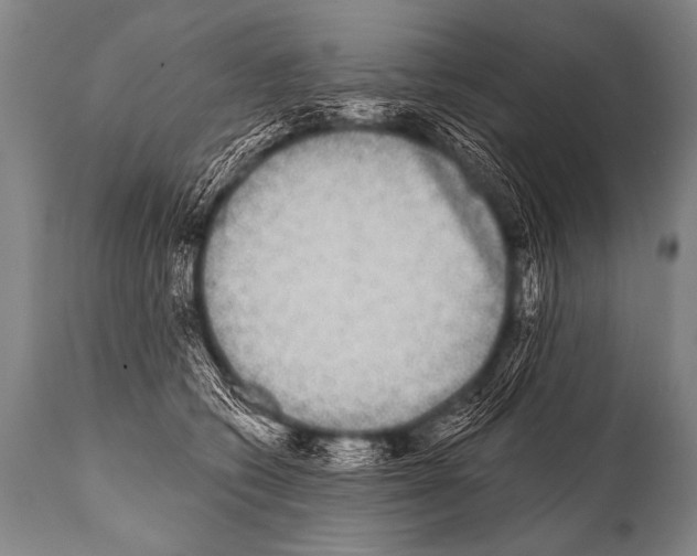 X0000112000562200909141104