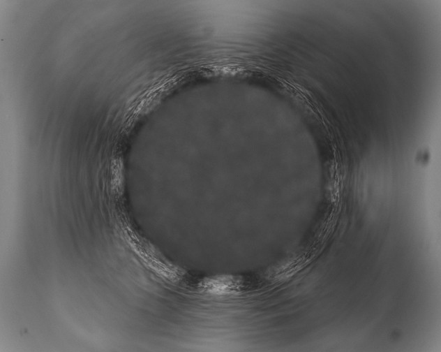 X0000112000563200909141104