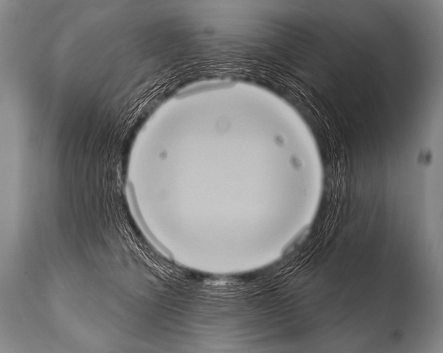 X0000112000564200909141104