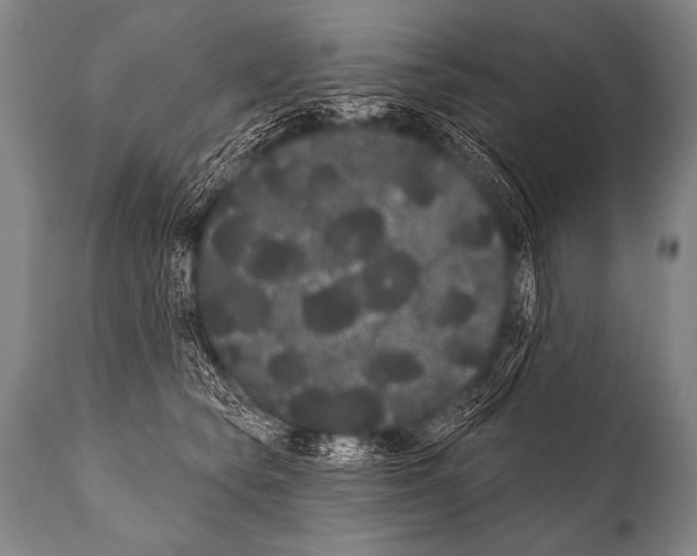 X0000112000565200909141104