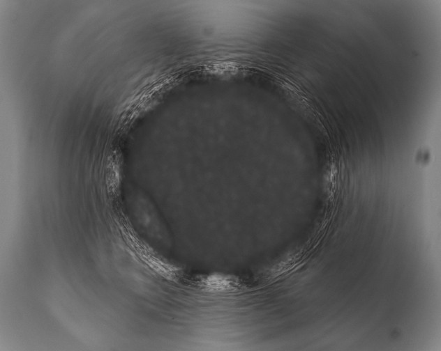 X0000112000566200909141104