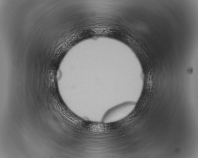 X0000112000567200909141104