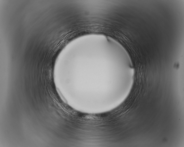 X0000112000568200909141104