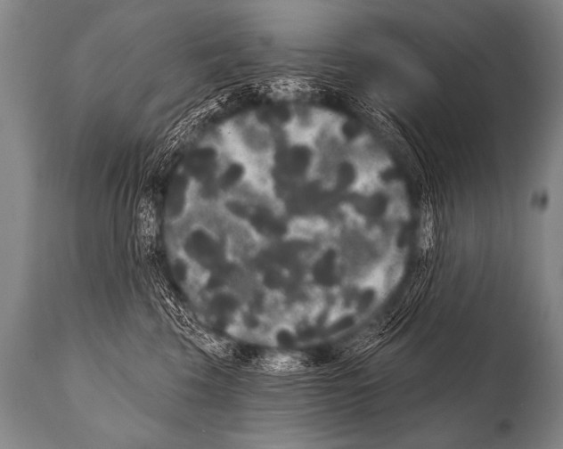 X0000112000569200909141104