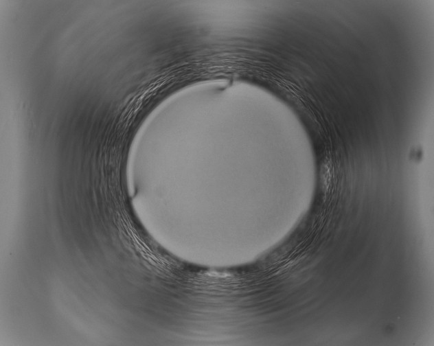 X0000112000570200909141104