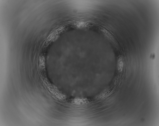 X0000112000571200909141104