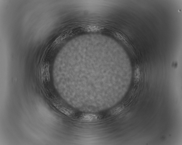 X0000112000572200909141104