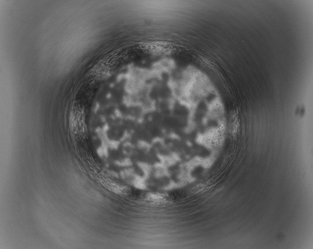 X0000112000573200909141104