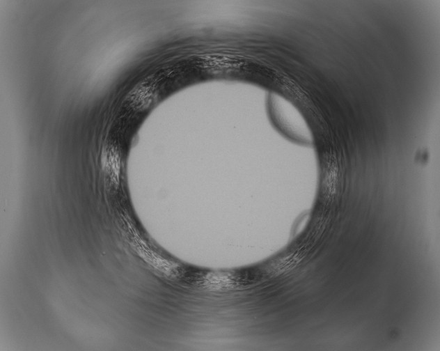 X0000112000574200909141104