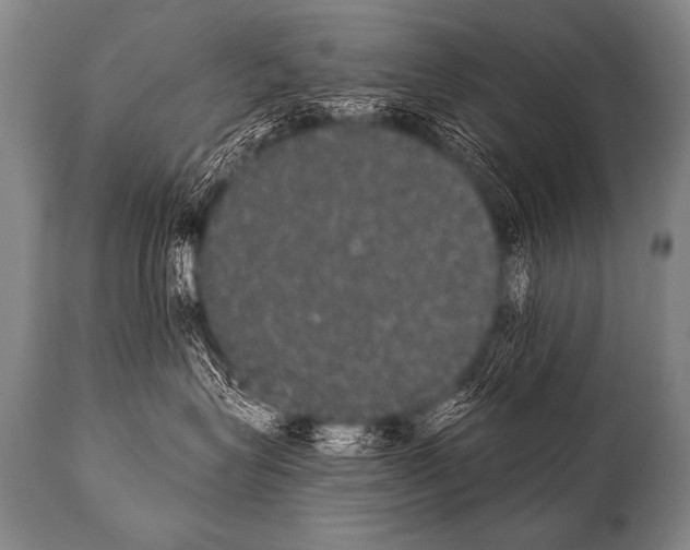 X0000112000575200909141104