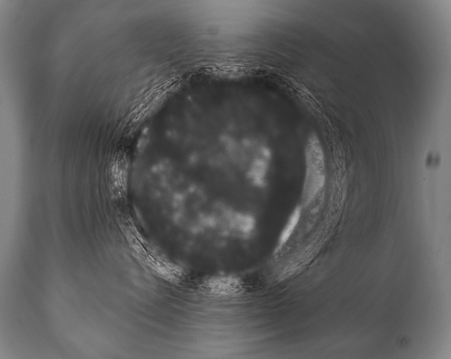 X0000112000576200909141104