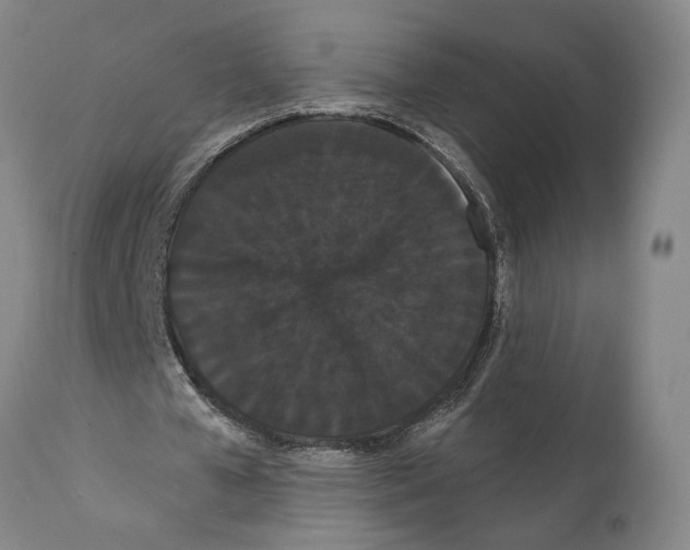 X0000112000577200909141103