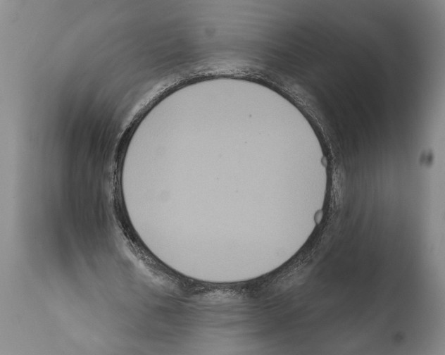 X0000112000578200909141103