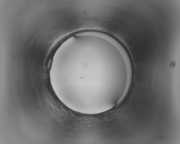 X0000112000579200909141103