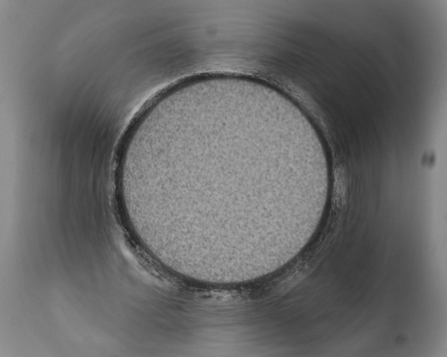 X0000112000580200909141103