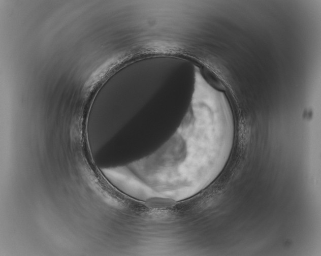 X0000112000581200909141103