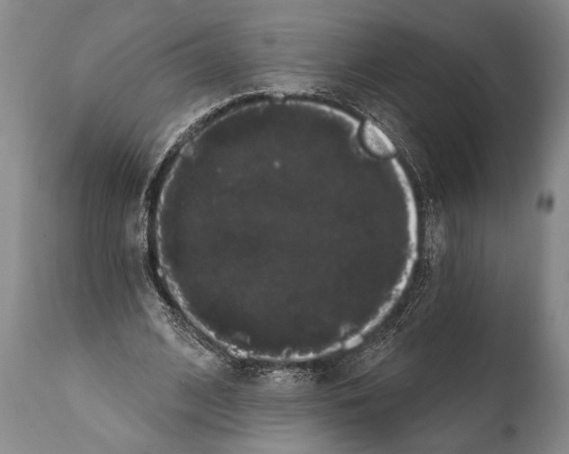 X0000112000584200909141103