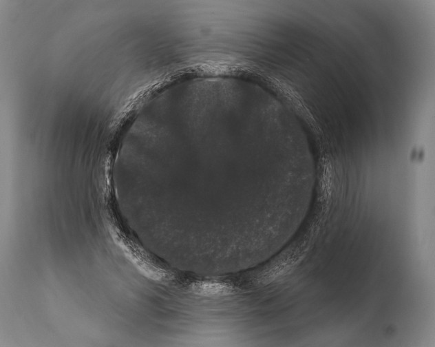 X0000112000590200909141103