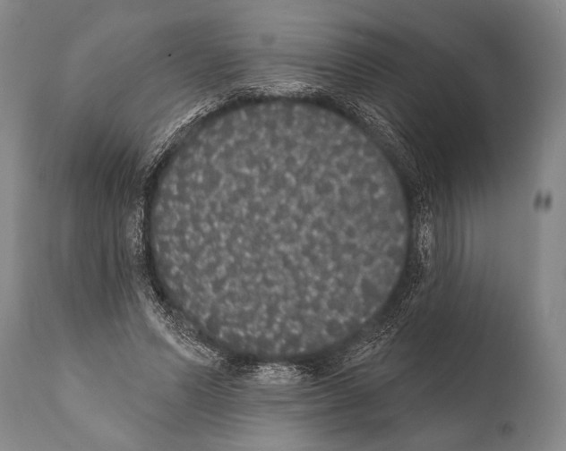 X0000112000591200909141103