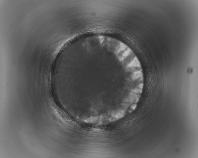 X0000112000592200909141103