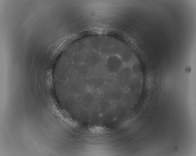 X0000112000594200909141103