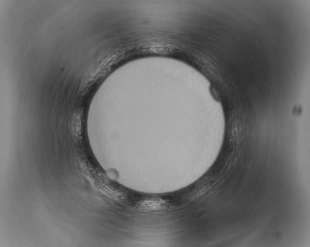 X0000112000595200909141103