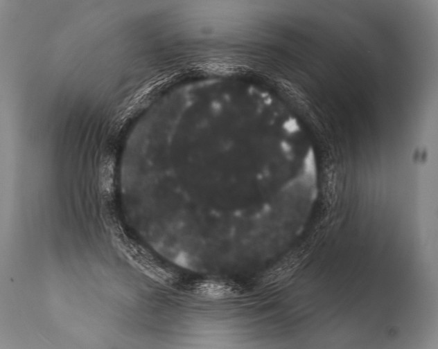 X0000112000596200909141103