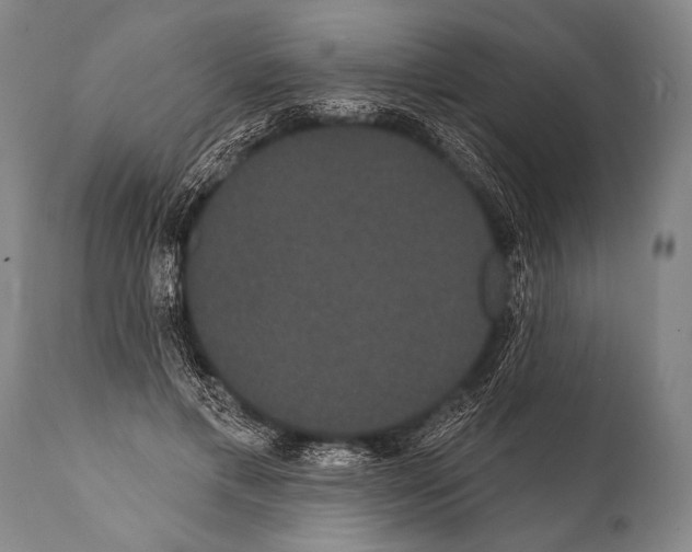 X0000112000597200909141103