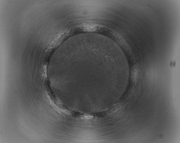 X0000112000598200909141103