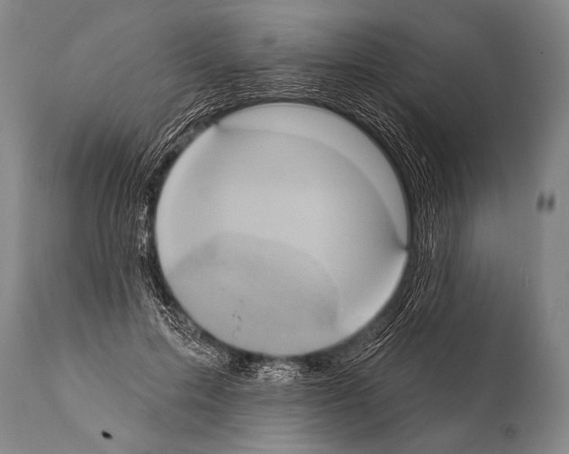 X0000112000599200909141103