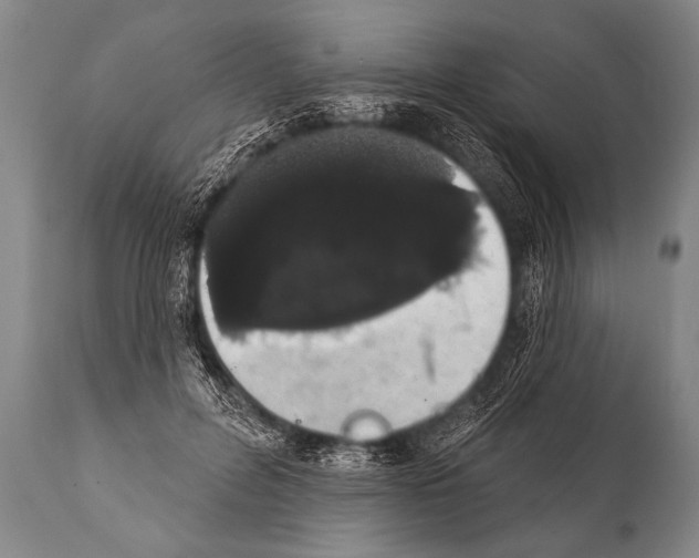 X0000112000600200909141103