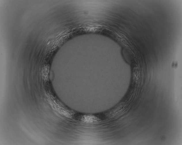 X0000112000605200909141103