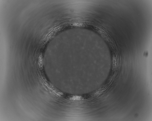 X0000112000609200909141103