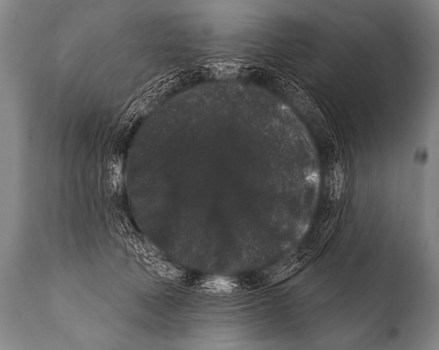 X0000112000610200909141103