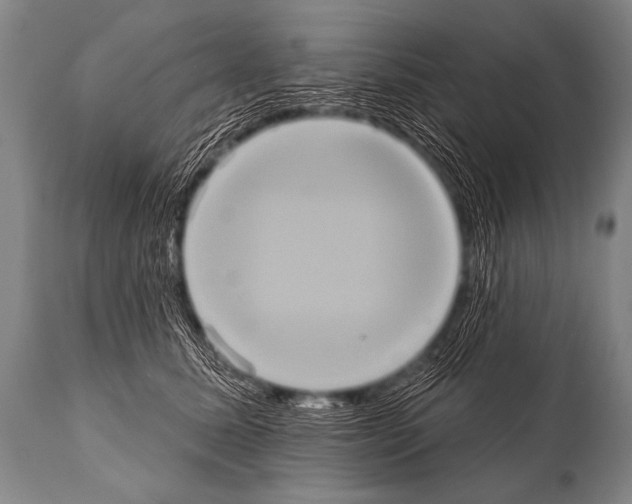 X0000112000611200909141103