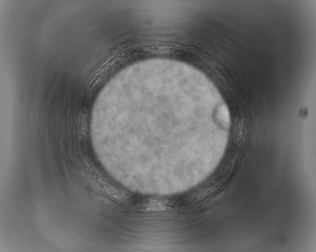 X0000112000612200909141103