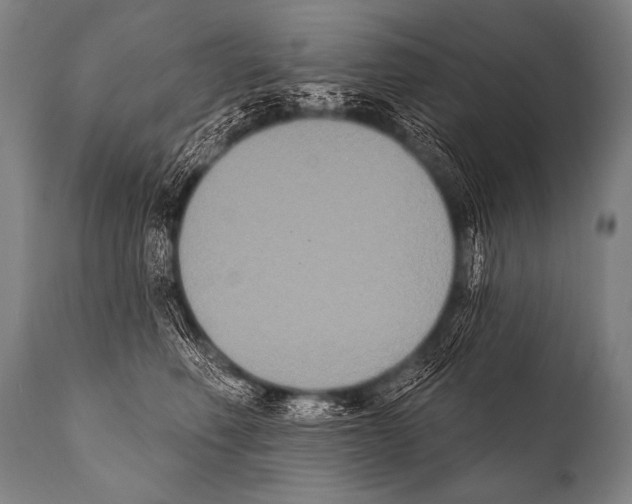 X0000112000614200909141103