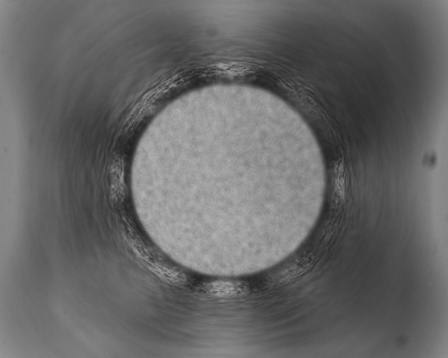 X0000112000615200909141103