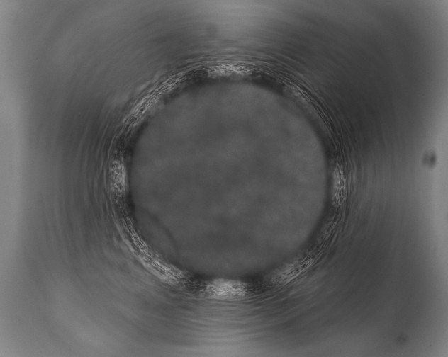 X0000112000617200909141103