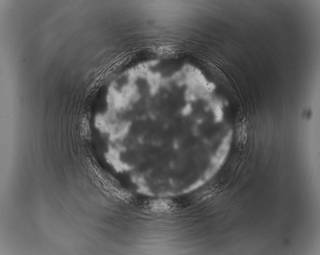 X0000112000618200909141103