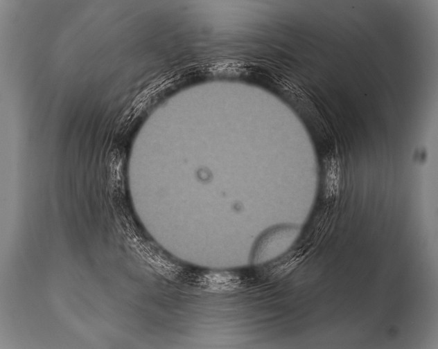 X0000112000619200909141103