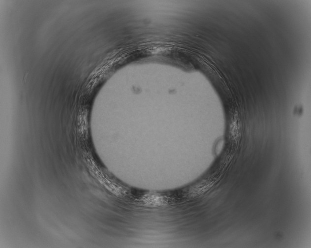 X0000112000620200909141103