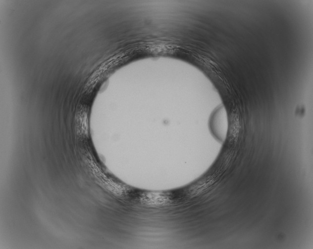 X0000112000622200909141103