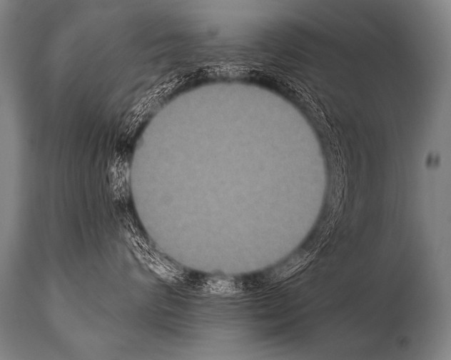 X0000112000624200909141103