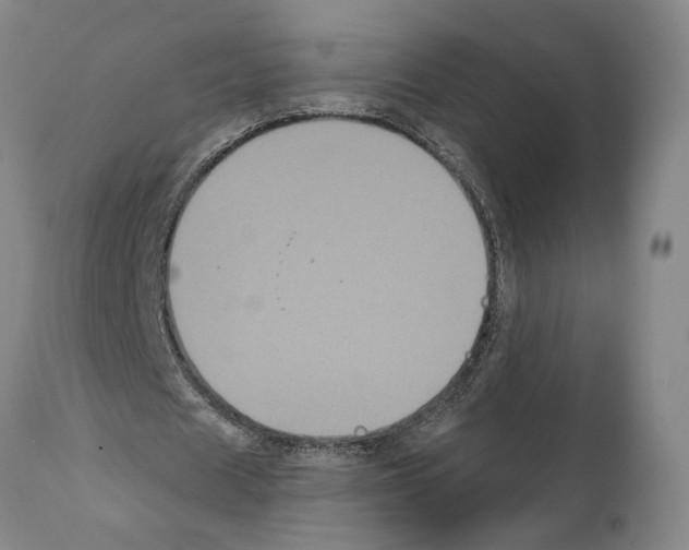 X0000112000625200909141102