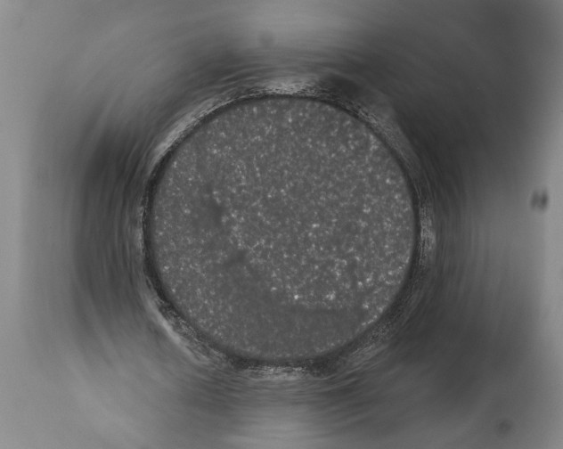 X0000112000626200909141102