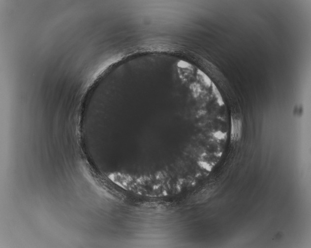 X0000112000627200909141102