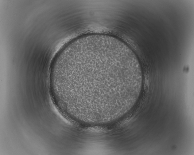 X0000112000630200909141102