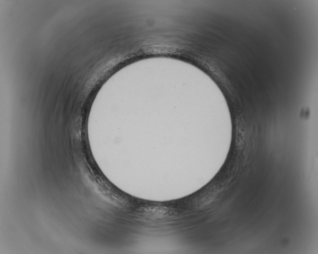 X0000112000631200909141102