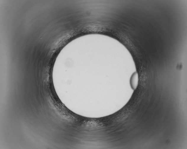 X0000112000635200909141102